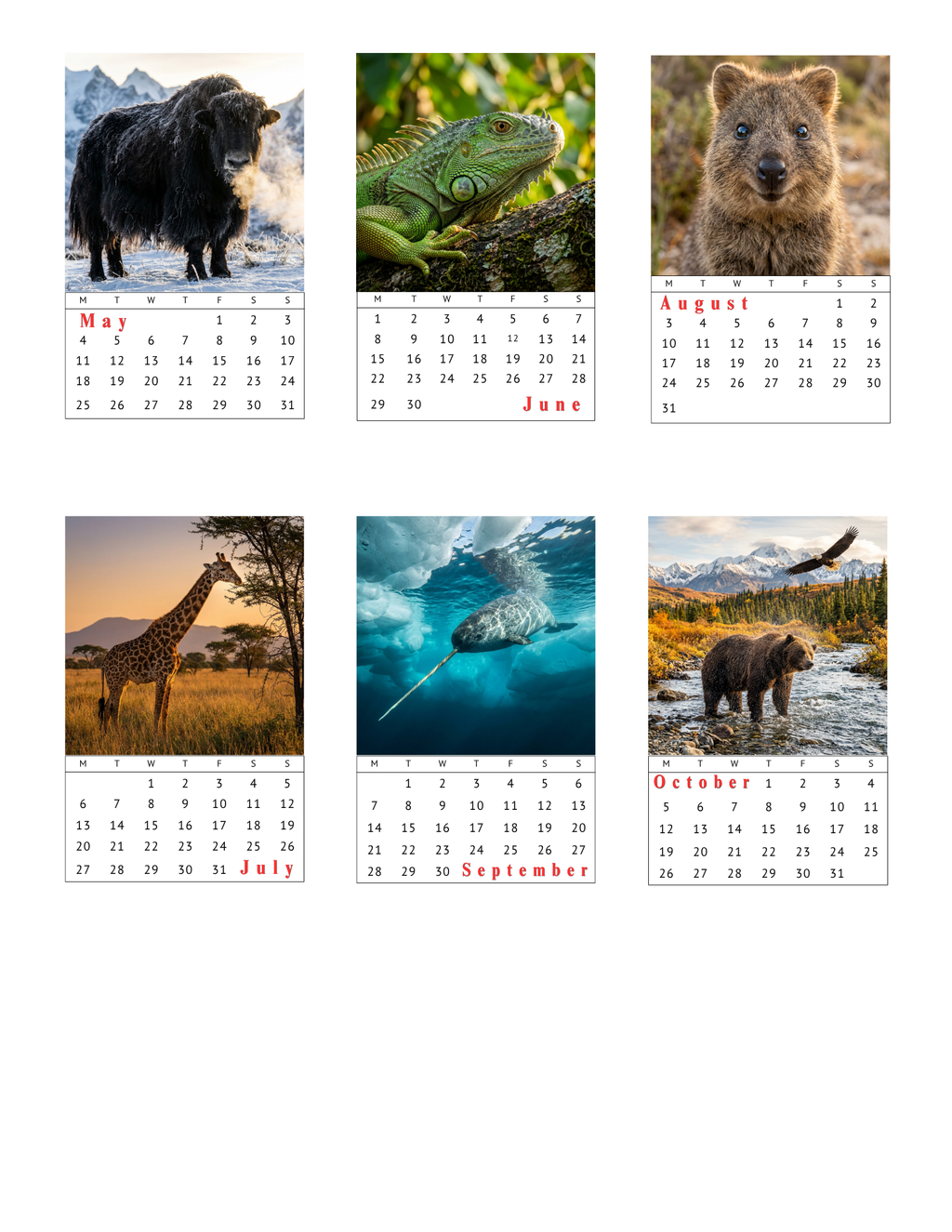 Photo Calendar Magnets