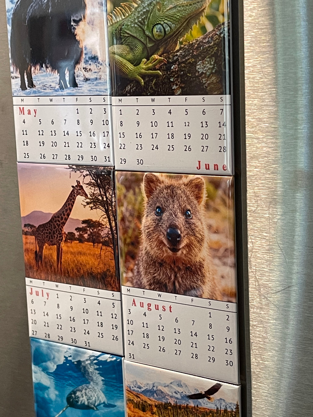 Photo Calendar Magnets