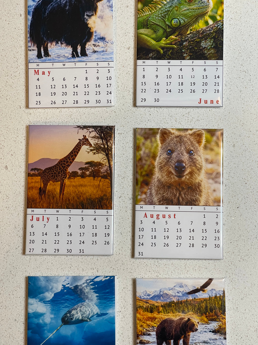 Photo Calendar Magnets