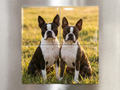 Photo Puzzles
