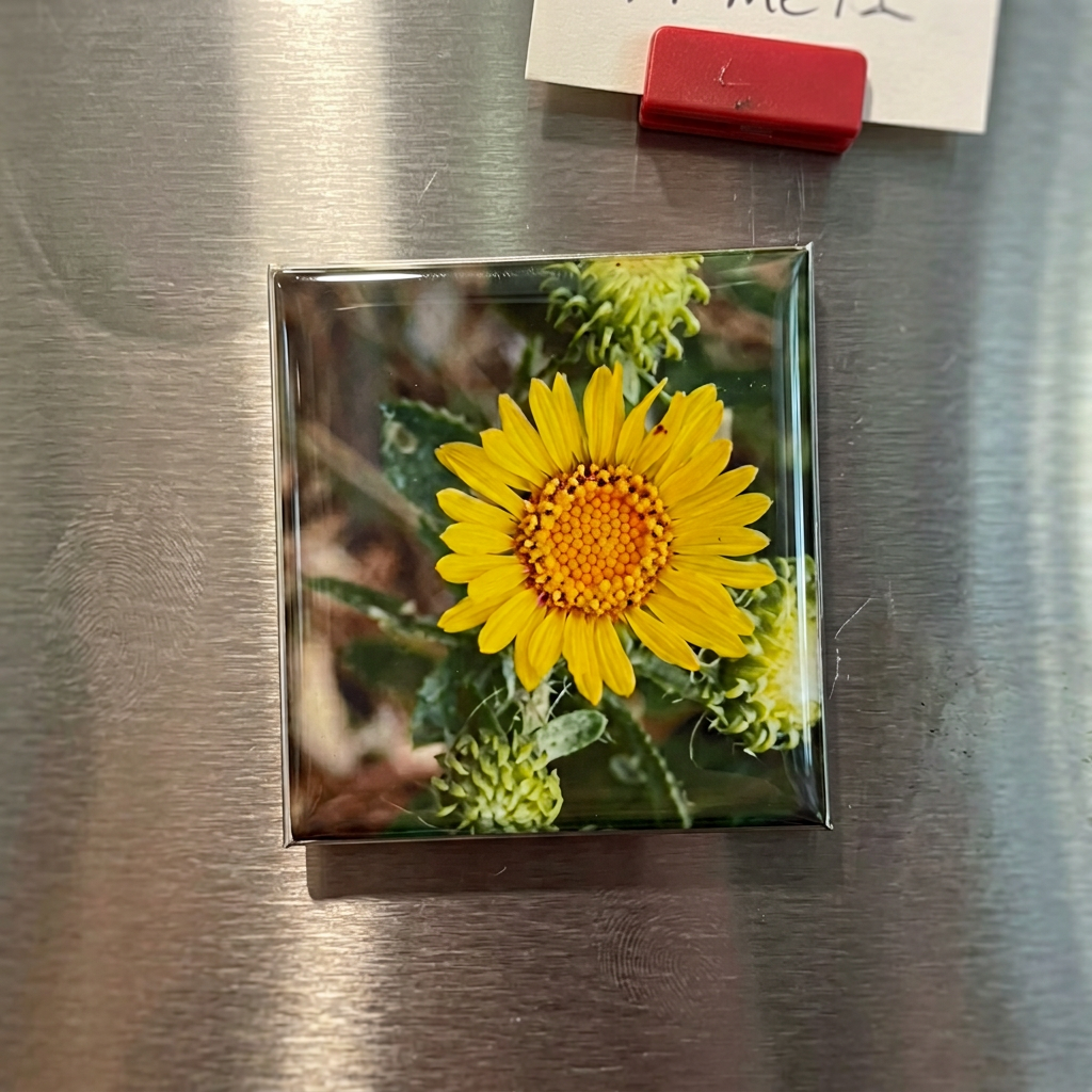 Your Custom Photo Magnets